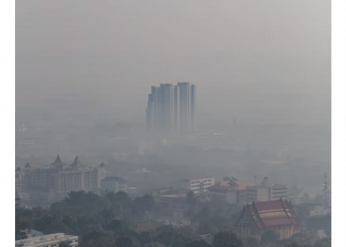 Polusi Udara Semakin Memburuk : Waspadai ISPA dan Kenali Ciri-ciri Udara Mengandung Polusi