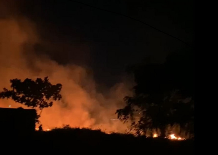 Lahan Kosong Terbakar di Talang Kelapa, Damkar Kerahkan 3 Unit Mobil Pemadam