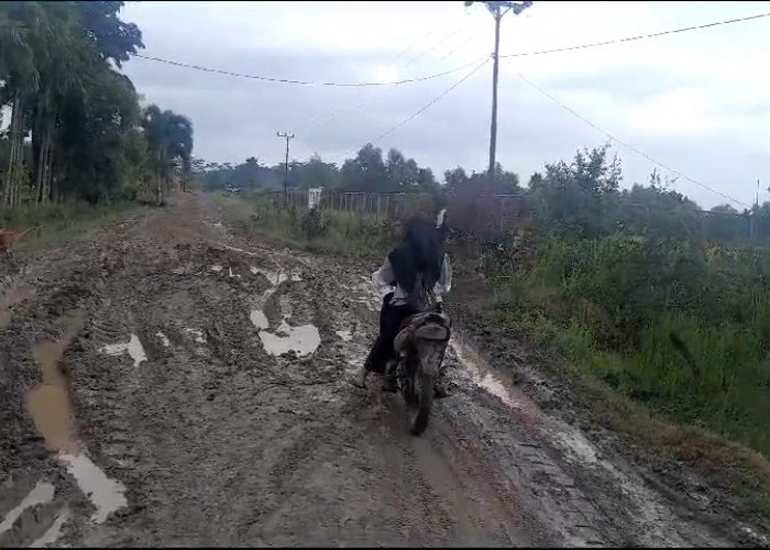 Jalan Penghubung Desa Mukti Jaya Berlumpur, Pengguna Harapkan Perbaikan