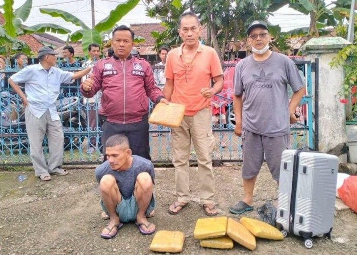 Bravo! Polsek Sukarami Ungkap Peredaran Ganja Kering 17 Kilogram di Palembang
