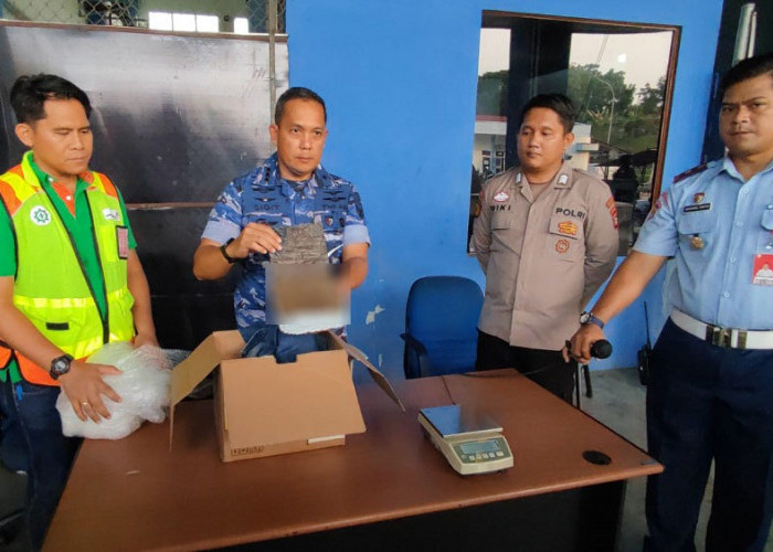 Lanud Srimulyono Herlambang bersama Tim Petugas Keamanan Bandara SMB II Gagalkan Penyelundupan Ganja Kering