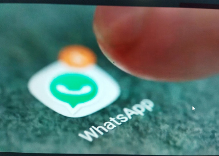 WhatsApp Akan Hadirkan Fitur Terbaru! Lihat Apakah Fitur Yang Ditunggu Pengguna Android dan Ios