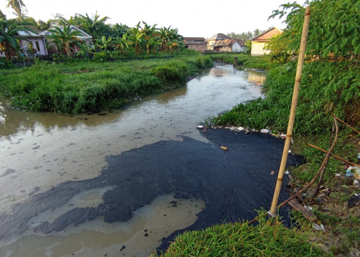 Minyak Mentah Cemari Sungai Kelekar, Walikota Surati Pertamina Pusat