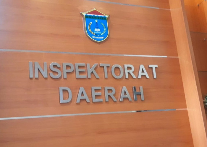 Tim Investigasi Inspektorat Ogan Ilir Selidiki Perkara Dugaan Perbuatan Mesum Oknum Camat Pemulutan Barat