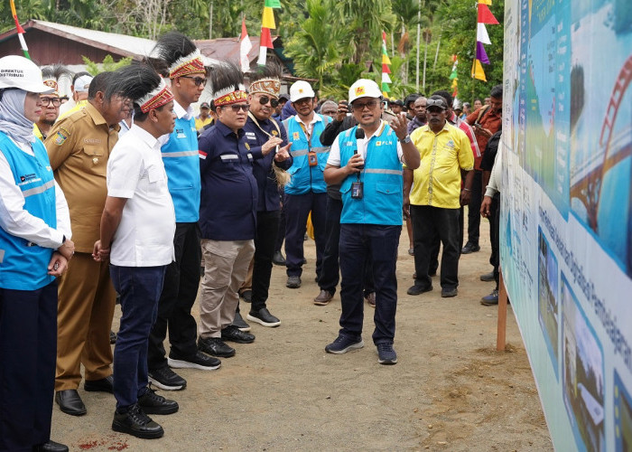 Program Lisdes Kementerian ESDM Percepat Pemerataan Akses Listrik PLN di Papua