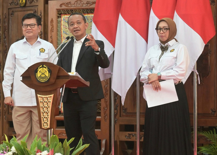  Program Lisdes 2025–2029 di RUPTL Baru, PLN Siap Listriki 780 Ribu Rumah Tangga 