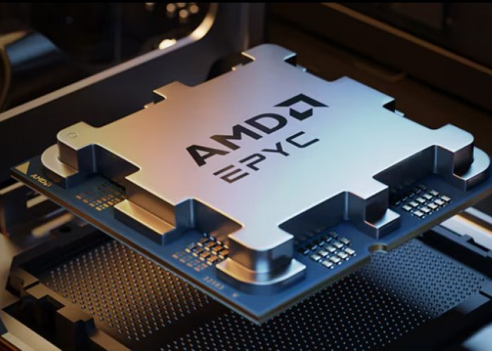 AMD Luncurkan Prosesor Server Epyc 4004 di Indonesia, Andalkan Jumlah Core yang Banyak