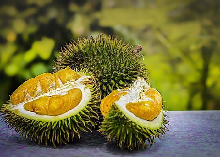 Cara Mengatasi Mabuk Durian, Tidak Perlu Panik