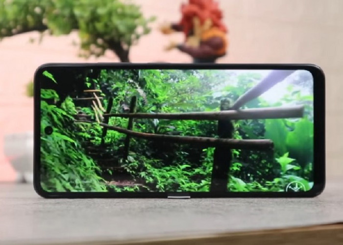 Cuma 1 Jutaan, HP Ini Bisa Rekam Video Stabil Tanpa Gimbal