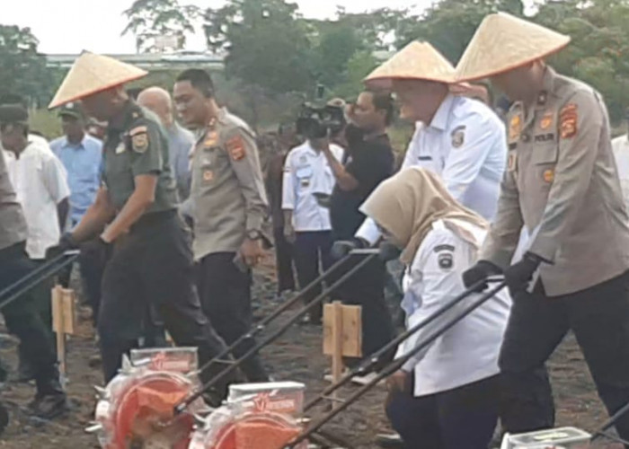 Atasi Karhutla, Polda Sumsel dan Polres Ogan Ilir Tanam Jagung di Lahan Gambut