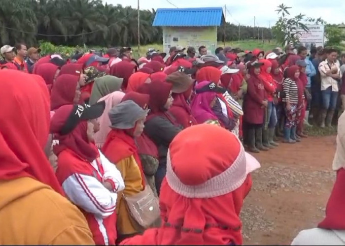 Ratusan Buruh Tuntut Status Karyawan