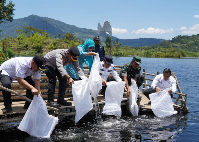 Perkuat Budidaya Perikanan Air Tawar, Bupati Tebar 5.000 Benih Ikan Nila di Danau Deduhuk