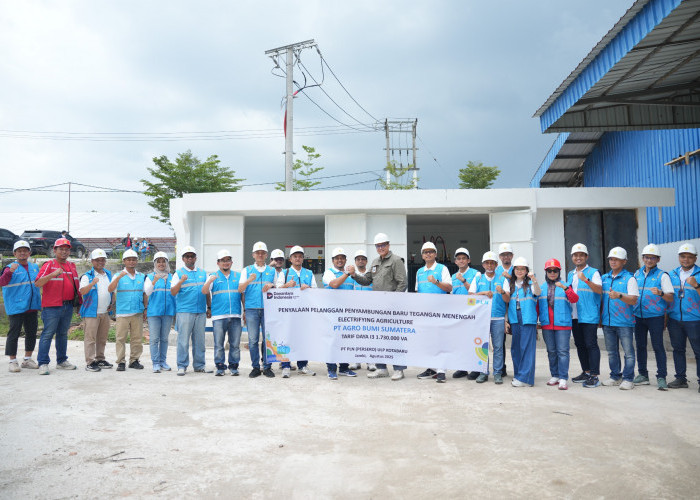 Semarak Kemerdekaan! PLN UP3 Jambi Energize Electrifying Agriculture 1.730 kVA untuk PT Agro Bumi Sumatera