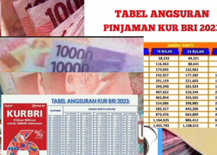 Simulasi Cicilan Pinjaman Rp100 Juta, Tabel Angsuran KUR BRI 2023 Terbaru dan Lengkap
