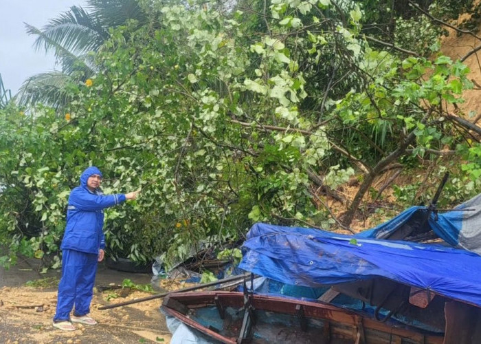 Drama Selamat dari Longsor di Padang: Warga Mengungsi Tepat Waktu Sebelum Dinding Jebol Dini Hari