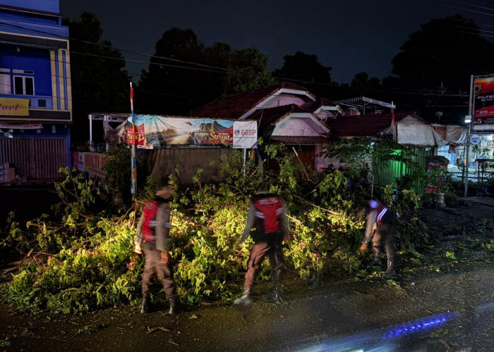 Hujan Tak Jadi Halangan! Polisi Muara Enim Gerak Cepat Atasi Pohon Tumbang di Jalan