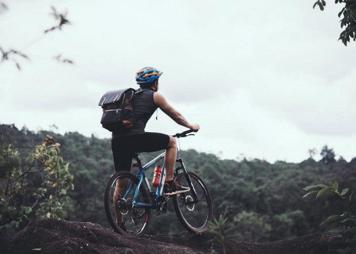 7 Pilihan Sepeda Gunung Paling Keren untuk Petualangan Setiap Hari Anda!