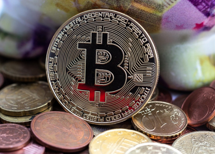 Transaksi Bitcoin dan Investasi Kripto Meningkat Pesat di Awal 2024