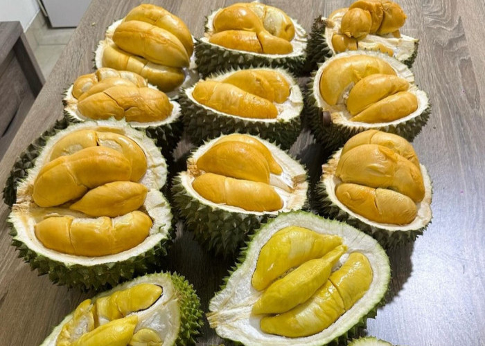 Banyak yang belum tahu! Hindari 10 Makanan Ini Setelah Menikmati Buah Durian