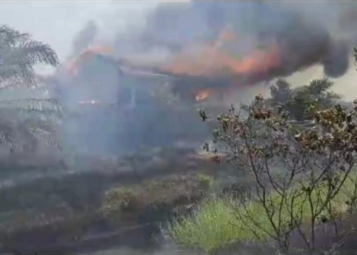 2 Rumah Warga Tak Berpenghuni di Kabupaten Musi Banyuasin Ikut Terbakar dalam Kebakaran Hutan dan Lahan