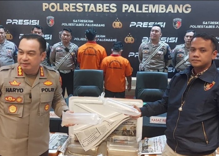 Mantap!! Satlantas Palembang Gagalkan Penyelundupan 63 Ribu Benih Lobster Pasir