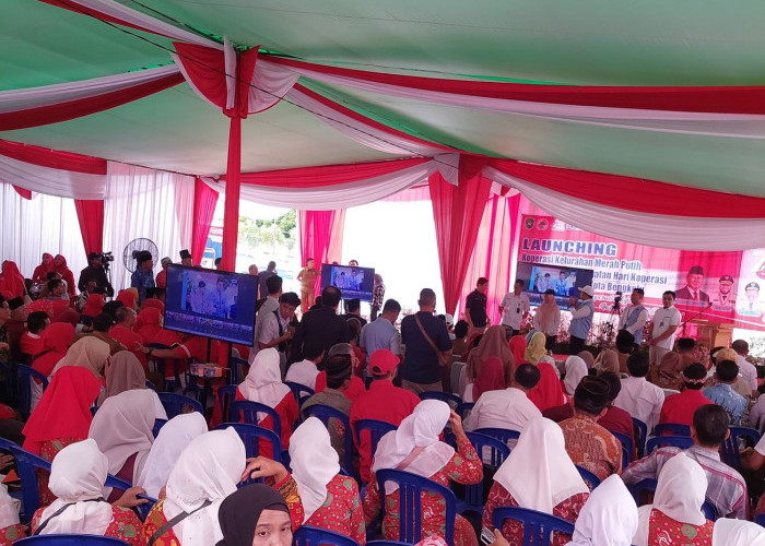 PLN UID S2JB Sukseskan Acara Peresmian Koperasi Merah Putih, Pastikan Pasokan Listrik Andal di 3 Provinsi
