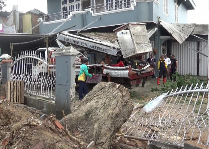 Pohon Besar Tumbang Menimpa Ruko di Angkatan 66