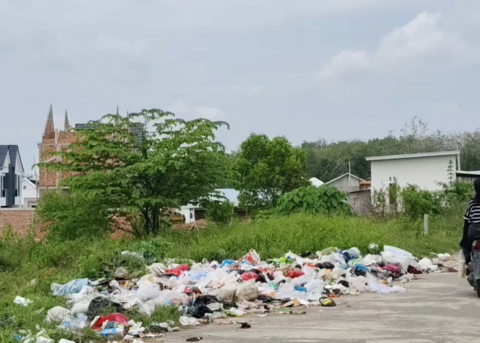 TPS Liar di Tanjung Barangan Bikin Warga Resah, Sampah Menumpuk