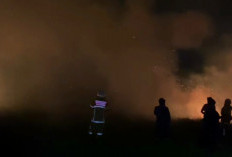  Jelang Kemarau, Langkah Penanganan Karhutla di Pebatasan Disiapkan