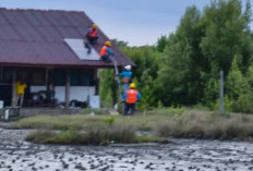 PLN ULP Tugumulyo Sukses Nyalakan Listrik Program Supersun Sekolah di SD Negeri 1 Pinang Indah