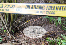 Polisi Temukan Jenazah Christina di Antara Pohon Sawit di Banyuasin 