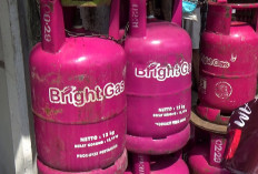 Pertamina Patra Niaga Regional Sumbagsel Pastikan Distribusi LPG Non-Subsidi Berjalan Sesuai Mekanisme