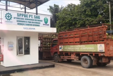 Jelang Nataru 2025, Pasokan LPG 3 Kg di OKI Ditambah untuk Antisipasi Lonjakan Kebutuhan