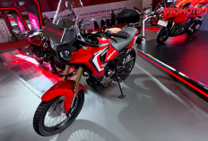 Termurah di Kelasnya! QJ Motor Turino 250 DX Bikin Suzuki & Kawasaki Ketar-Ketir?