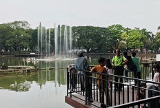 Wali kota Klaim RTH sudah 36 Persen dari luas kota Palembang 