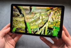 Galaxy Tab A11 vs Galaxy Tab S10 FE: Apakah Flagship Lama Masih Layak?