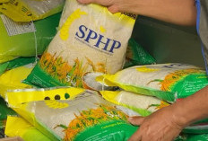 Stok SPHP Sumsel Dipastikan Aman Hadapi Nataru