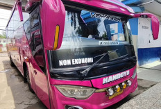 Dampak Maklumat Solar, Jadwal Bus di Palembang Molor
