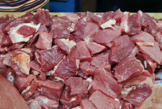 Program MBG Picu Tekanan Stok Daging Sapi di Palembang