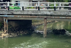 Awal Juni 2026 Restorasi Daerah Aliran Sungai Bendung di Palembang Akan Dimulai