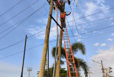 Pasca Idul Fitri, PLN ULP Lubuklinggau Perkuat Keandalan Listrik Lewat Perbaikan Saluran Kabel Tegangan Meneng