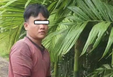 Modus Tanya Lokasi Masjid, Pelaku Pencabulan Anak di Palembang Ditangkap