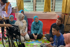 Suasa Haru Warnai Penyerahan Bantuan Kursi Roda untuk Ulil Albab 