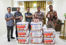 PLN UID S2JB Kirim Bantuan 500 Lampu Emergency untuk Bantu Warga Terdampak Banjir dan Longsor di Aceh, Sumut d