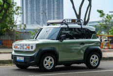 Strategi VinFast Kuasai Pasar ASEAN, Agresif Bangun Ekosistem Kendaraan Listrik  7