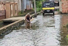  Genangan Tak Surut Dua Minggu, Aktivitas Warga Lorong Pamuda Terganggu