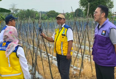 Kementerian PUPR Pastikan Sekolah Rakyat Palembang Dibangun Agustus 2026