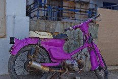 Motor Tua DicAT Warna Ungu, Bikin Tampilan Klasik Jadi Makin Berani dan Menarik