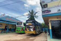 Musim Mudik Harga Tiket Bus AKAP Meroket 