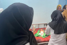 Bayi Perempuan Ditemukan di Semak Empat Lawang, Polisi Lakukan Penyelidikan Intensif